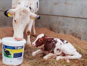 Getting the best start to a great lactation 